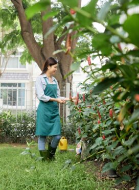 Woman caring for plants